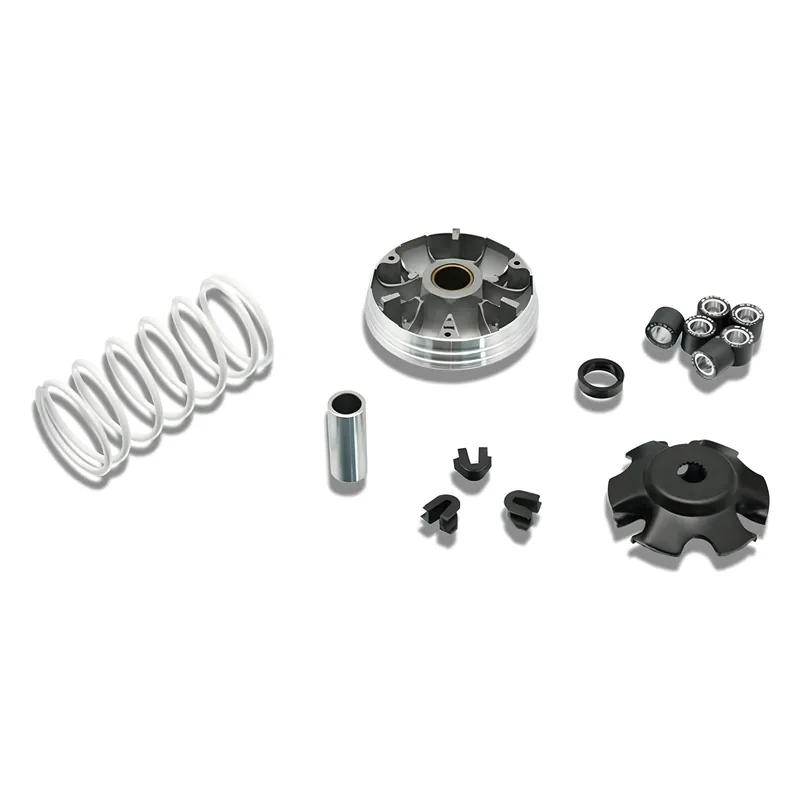 Variator Malossi Multivar 2000 für Piaggio Zip 4T 50ccm, Liberty 4T 50ccm, Gegendruckfeder weiß , Gewichte 19x15,5mm - 6,10g Echt