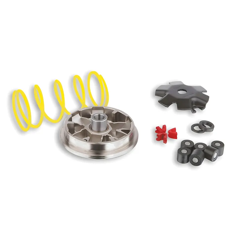 Variator Malossi Multivar für Honda Bali, SFX, SXR, Shadow, SH (Bj. 96) - Peugeot Zenith, SV Geo, Elystar TSDI, Looxor TSDI, Highlight