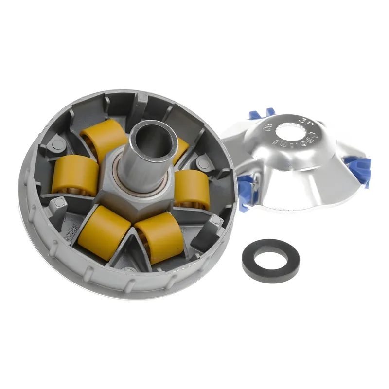 Variomatik Polini Hi-Speed 19 x 15,5mm 8,1g für Piaggio 50 2T 1998- Direktkauf
