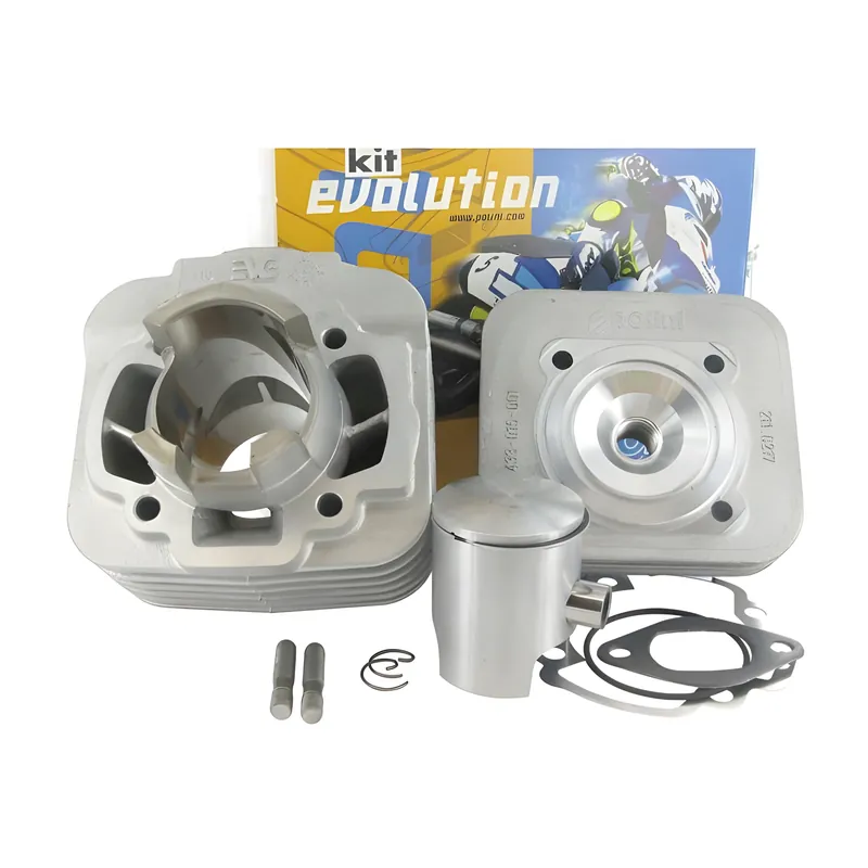 Zylinderkit Polini Evolution 50ccm, d=40,2mm für Piaggio / Gilera 50ccm AC Geprüft