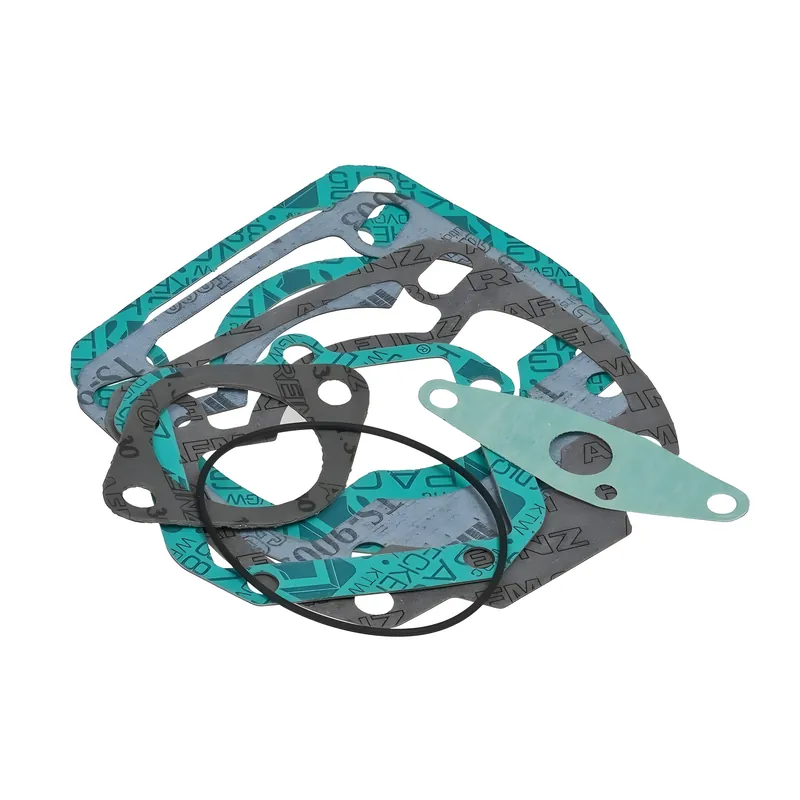 Dichtungssatz Polini, Rotax 123, d=60mm Preiswert
