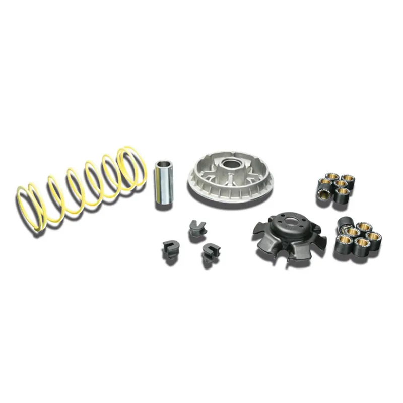 Variomatik Malossi Multivar 2000 für Kymco KXR, MXU, Xciting, Quad, ATV 250-300ccm 23x18 mm, 17,0 & 20,0g Zertifiziert