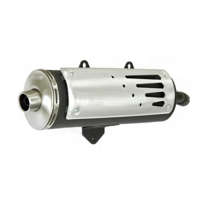 Knallerangebot Auspuffanlage Giannelli Freeway mit Zulassung für Yamaha BWS 125