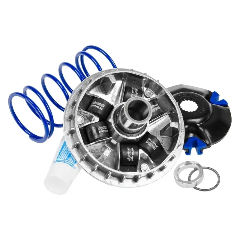 Variator Polini für Suzuki Sixteen 125, Burgman 125 bis 2010 Aktuell