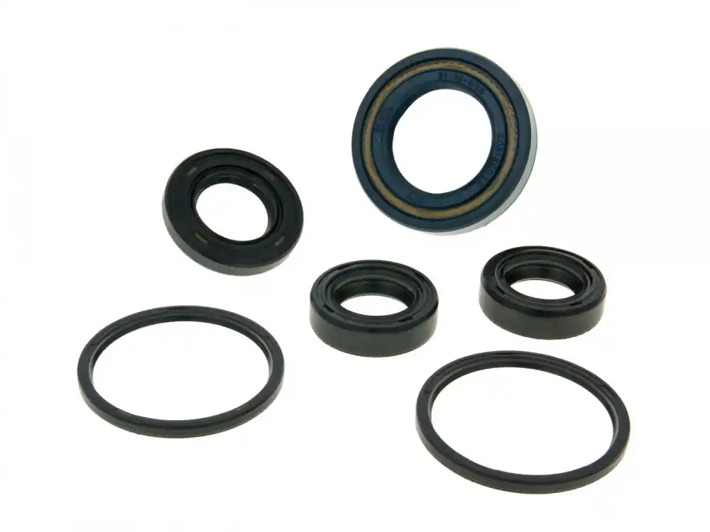 Top-Seller Wellendichtringsatz Motor für Honda Wallaroo, Vision, Peugeot ST, Fox 50