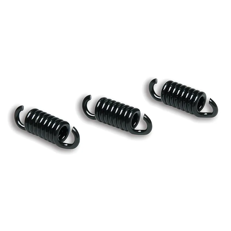 Kupplungsfedern Malossi MHR Maxi Delta Clutch schwarz 2,5mm Racing für Runner 125, 180ccm 2T Rabatt