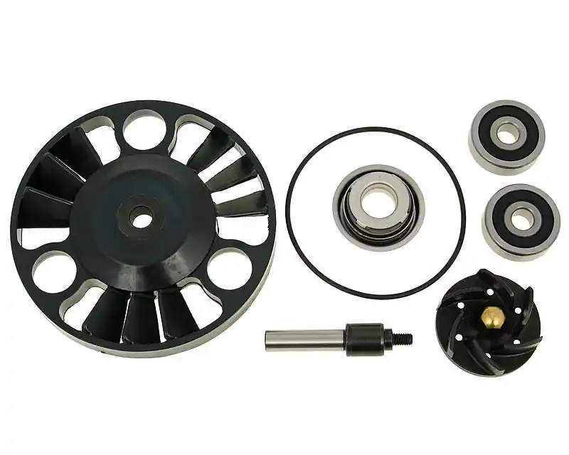 Reparaturkit Wasserpumpe für Piaggio Motor 125-200ccm Top-Preis
