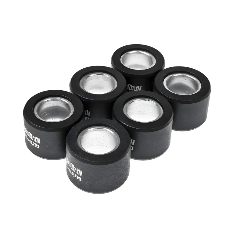 Variomatikgewichte Polini Satz Variorollen 24x18mm, 18,0g Angebot