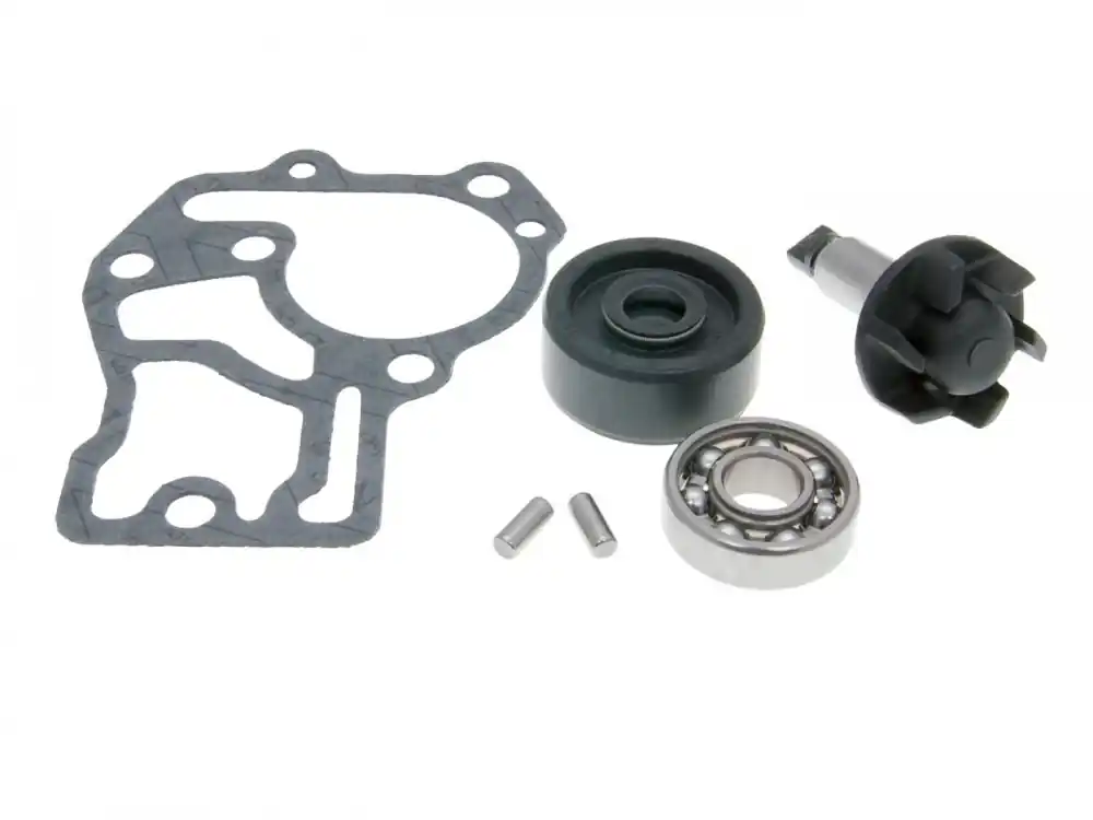 Reparaturkit Wasserpumpe für Minarelli 50ccm LC 4-Takt Begrenztes Angebot