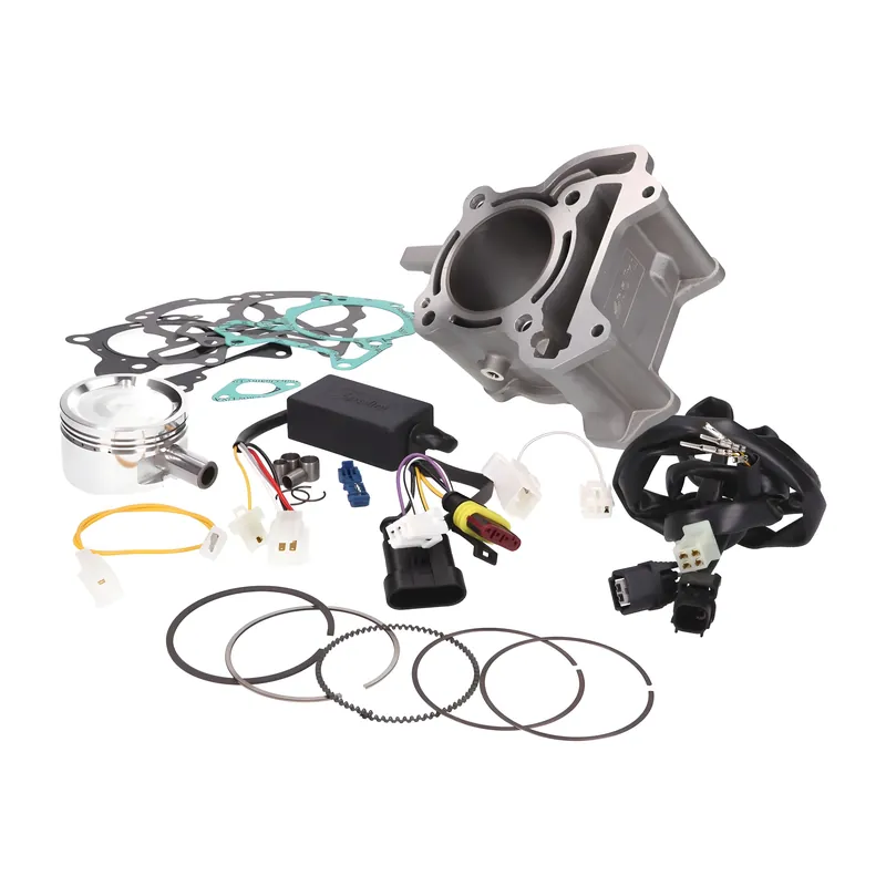 Letzte Chance Zylinderkit Polini Aluminium 172ccm 61mm für Vespa GTS 125ie E4 4V, 150ie E4 4V, Piaggio Medley 125ie E4 4V, 150ie E4 4V