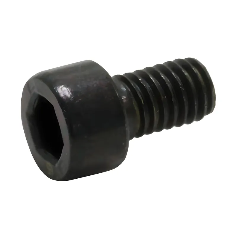 Zylinderschraube M6x10-8.8-A4R (DIN 912) - schwarz Markenprodukt