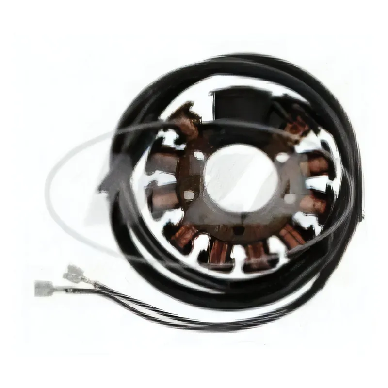 6V-Stator A-A69S-21 - pass. für AWO, nur Lichtmaschine Sichere Zahlung
