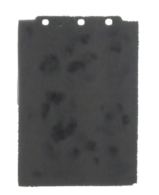 Luftfilter RMS für Piaggio Cosa 1-2, 252971 Finale Aktion