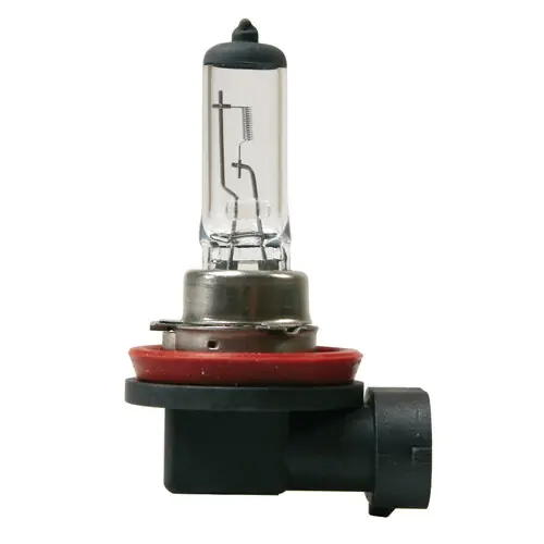 Direktkauf Glühlampe Leuchtmittel Lampa 12V Halogen H11 55W PGJ19-2 mit Zulassung, 1 Stück