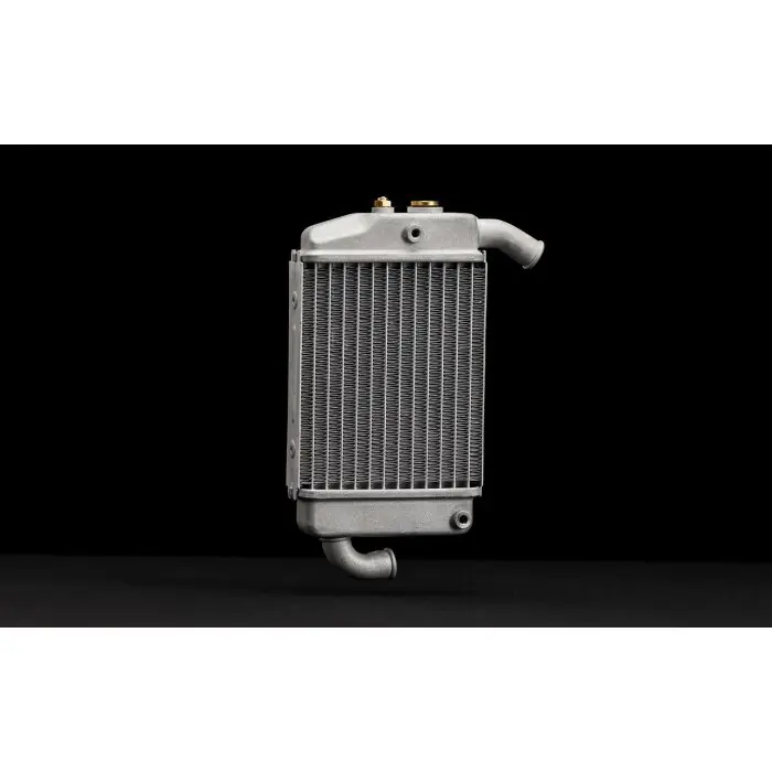 Expressversand Radiator assembly