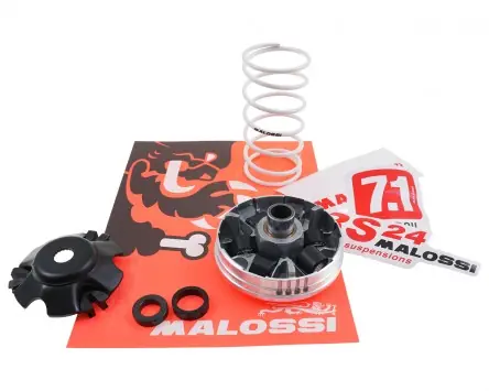 Variomatik MALOSSI Multivar 2000 kompatibel für Piaggio ab 1998 19x15,5mm Gewichte NRG, Zip SP, TPH, Gilera Runner, Aprilia SR50 Sonderangebot