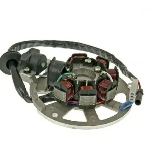 Angebot Lichtmaschine Stator Rivello Version 1 Explorer Race GT, Hi, Iron, Jump, Spin GE