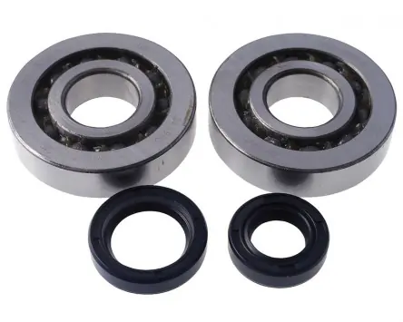 Schneller Versand Kurbelwellenlagersatz C4 mit Wellendichtringen kompatibel für Peugeot stehend Euro1, Elyseo, Speedfight 1 2, TKR Ersatz Roller Lager Set