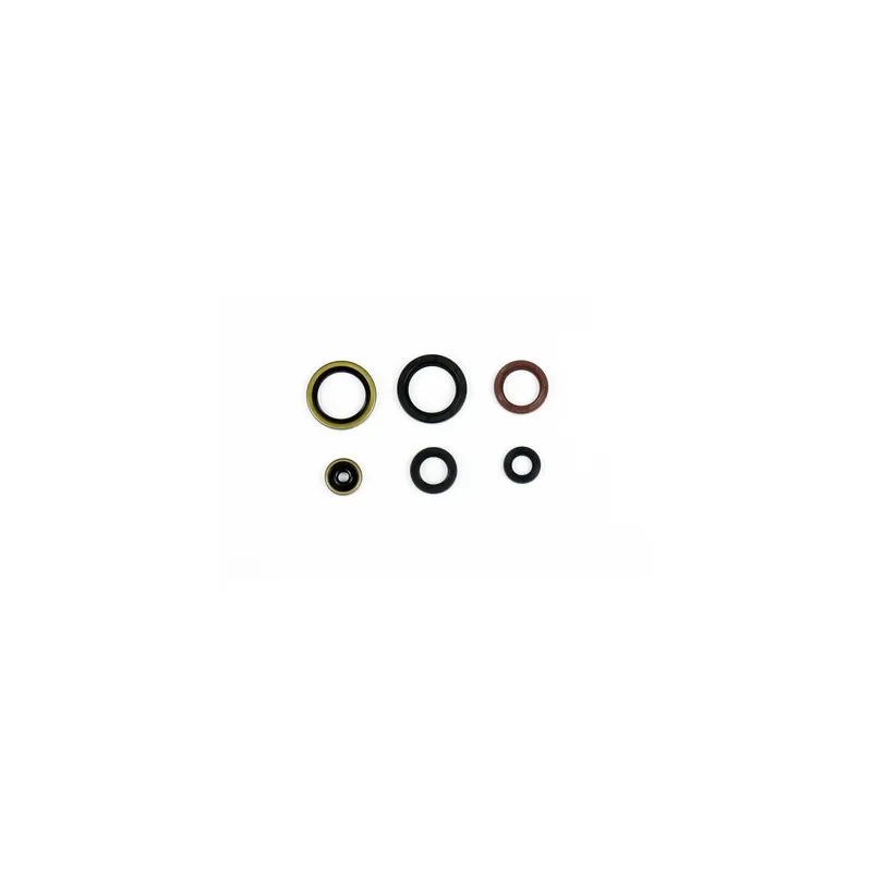 Motor-Dichtring kit Ktm-Husqvarna Letzte Chance