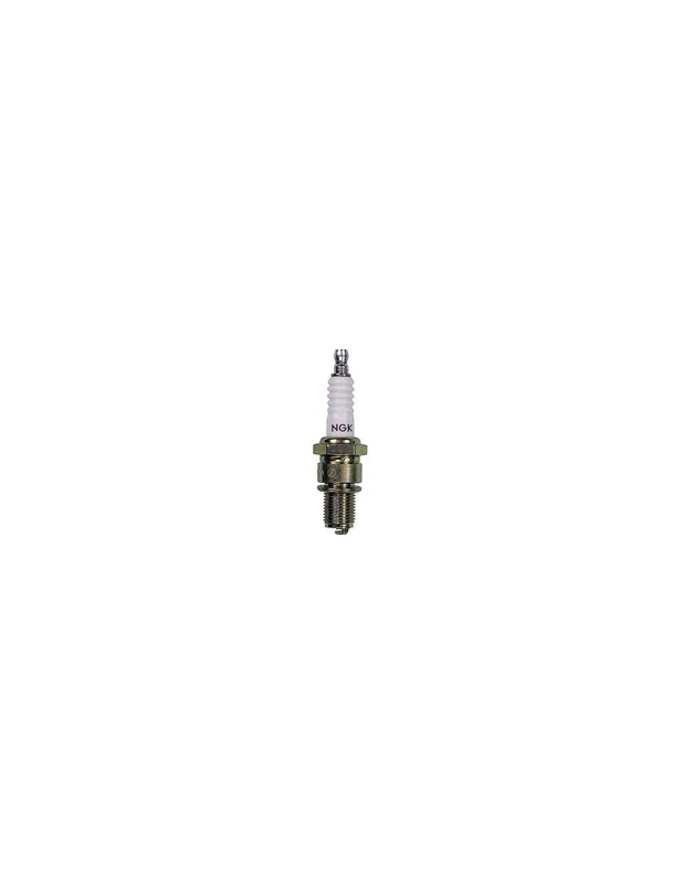Top-Preis Sparkplug NGK 4-Takt