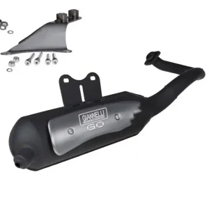 Auspuff Giannelli GO Gilera Easy Moving ICE Piaggio Sfera RST Zip 2T Nur Heute