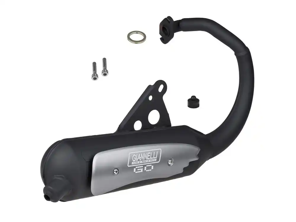 Auspuff Giannelli GO BSV Honda Sky SGX 50 AF43 BSV 50 2 Takt Beliebt
