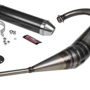 Auspuff Giannelli Aprilia RS4 11-16 Derbi GPR 50 Racing 09-13 LC D50B0 Günstig