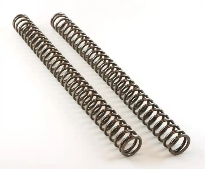 Expressversand WP ConeValve Gabelfedern L= 485 4,2 N/MM SET